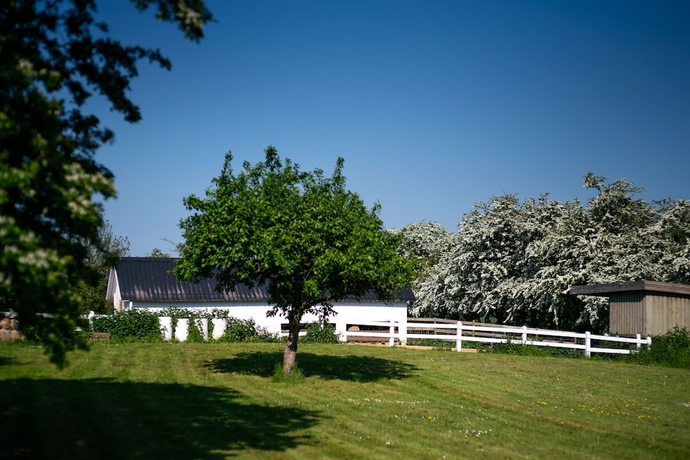 Imagen de los exteriores del Hotel Den Gamle Grænsekro. Foto 17