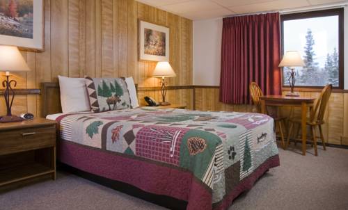 Imagen de la habitación del Hotel Denali Park. Foto 3