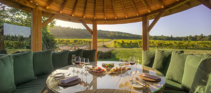 Imagen del bar/restaurante del Hotel Denbies Vineyard. Foto 12