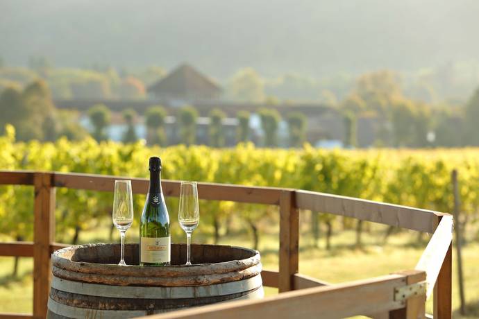 Imagen general del Hotel Denbies Vineyard. Foto 7