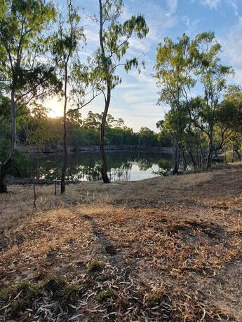 Imagen general del Hotel Deniliquin Pioneer Tourist Park. Foto 11