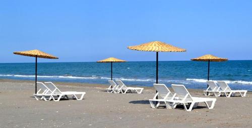 Imagen general del Hotel Denizkumu. Foto 2