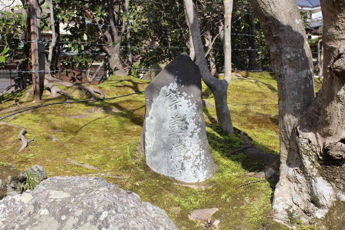 Imagen de los exteriores del Hotel Denshin-An. Foto 8