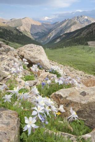 Imagen general del Hotel Denver Marriott West. Foto 3