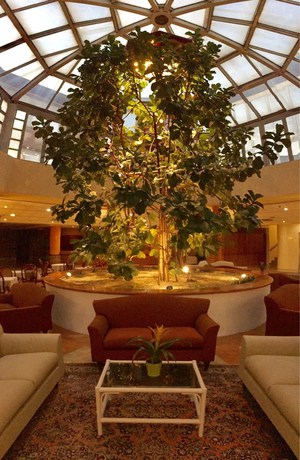 Imagen de los interiores del Hotel Depandance Green Park. Foto 14