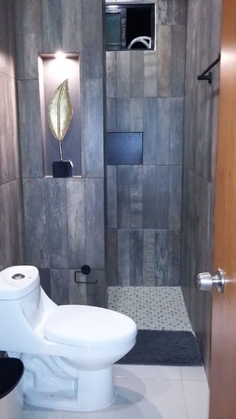 Imagen de la habitación del Hotel Departamentos Polanco. Foto 15
