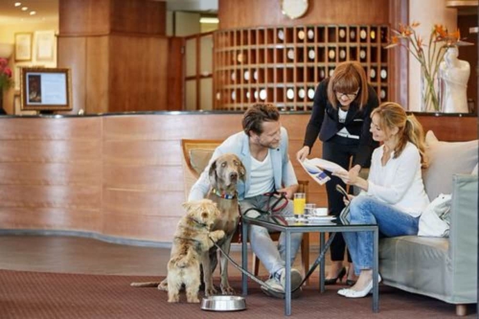 Imagen de los interiores del Hotel Dependence Del Parco. Foto 13