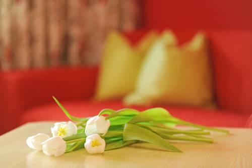 Imagen de la habitación del Hotel Der Almhof. Foto 4