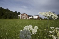 Imagen general del Hotel Der Bichlhof. Foto 4