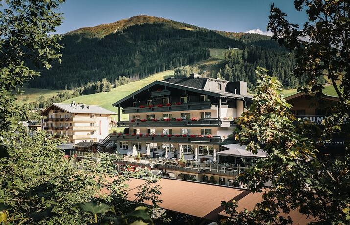 Imagen general del Hotel Der Gollinger. Foto 12