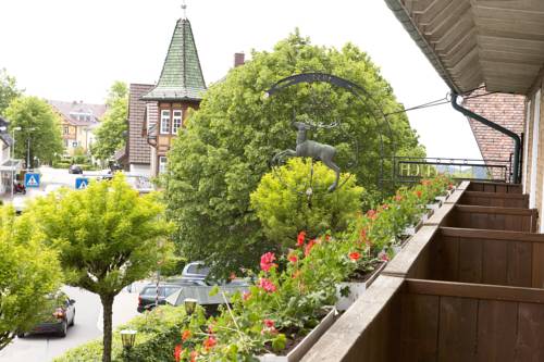 Imagen de la habitación del Hotel Der Hirschen. Foto 5