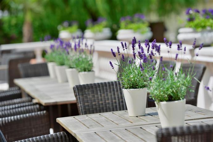 Imagen general del Hotel Der Lindenhof. Foto 4