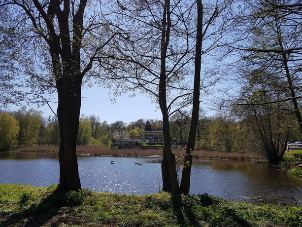 Imagen de los exteriores del Hotel Der Quellenhof. Foto 10