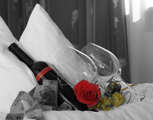 Imagen general del Hotel Der Sailer & Restaurant. Foto 12