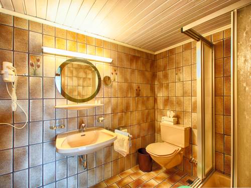 Imagen de la habitación del Hotel Der Silbertaler. Foto 7