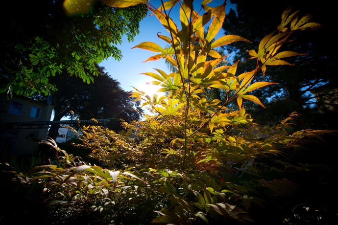 Imagen de los exteriores del Hotel Der Stasta. Foto 10