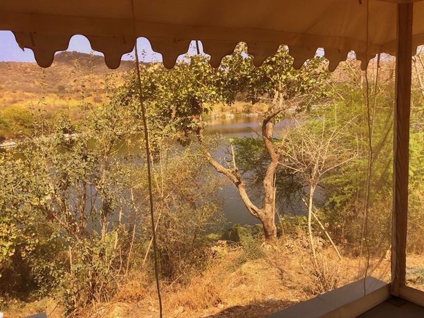 Imagen de la habitación del Hotel Dera Baghdarrah Nature Retreat Udaipur. Foto 16