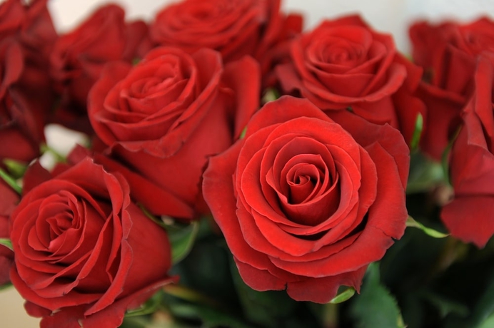 Imagen de la habitación del Hotel Derby Interlaken - Action and Relax Hub. Foto 11