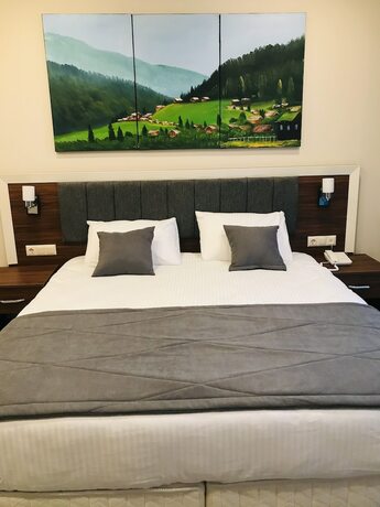 Imagen general del Hotel Deryaman Trabzon, Trabzon. Foto 9