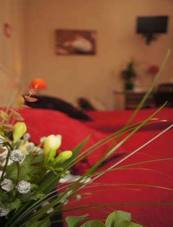 Imagen de la habitación del Hotel Des Alpes, Die. Foto 8