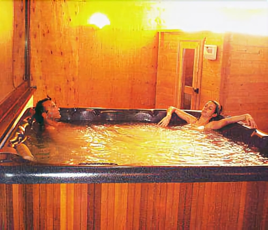 Imagen de la piscina del Hotel Des Alpes, Saint-Rhemy-En-Bosses. Foto 19