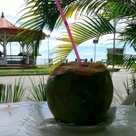 Imagen del bar/restaurante del Hotel Des Amandiers. Foto 19