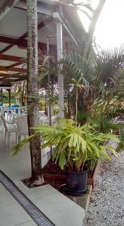 Imagen general del Hotel Des Amandiers. Foto 10