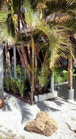 Imagen general del Hotel Des Amandiers. Foto 14