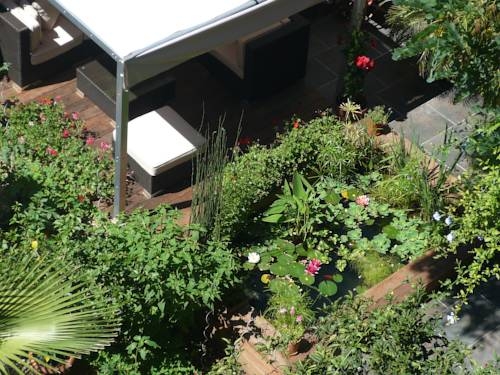 Imagen general del Hotel Des Arceaux. Foto 7