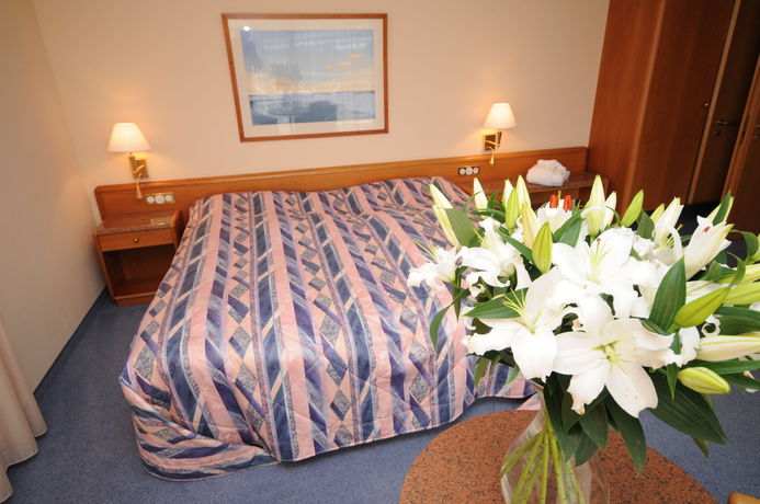 Imagen de la habitación del Hotel Des Bains De Saillon. Foto 6