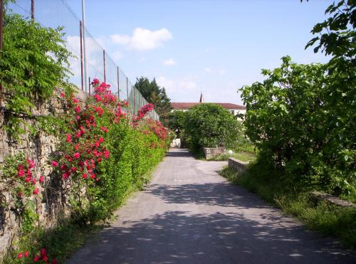 Imagen general del Hotel Des Oliviers, Chambonas. Foto 4