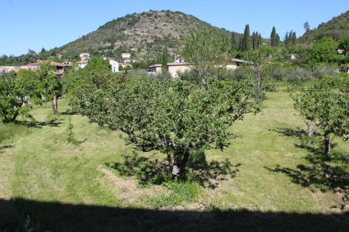 Imagen general del Hotel Des Oliviers, Chambonas. Foto 14
