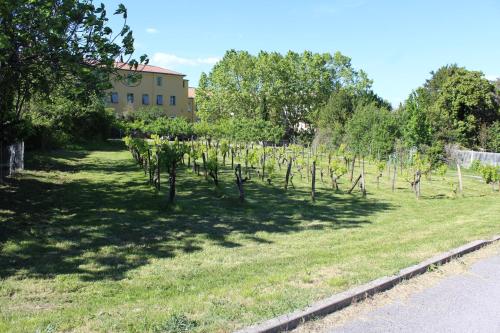 Imagen general del Hotel Des Oliviers, Chambonas. Foto 15