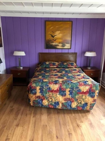 Imagen de la habitación del Hotel Des Plaines Motel. Foto 15