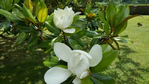 Imagen de la habitación del Hotel Des Roches. Foto 4