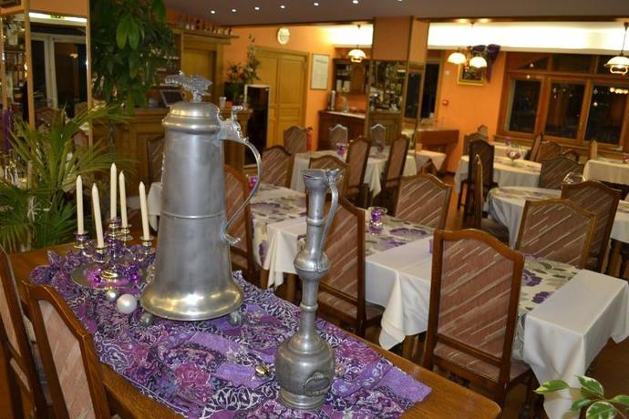 Imagen general del Hotel Des Roches, Saales. Foto 4