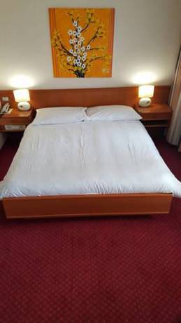 Imagen de la habitación del Hotel Des Trois Rois. Foto 5