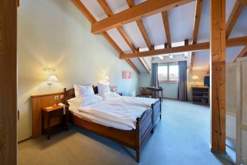 Imagen de la habitación del Hotel Des Vignes. Foto 14