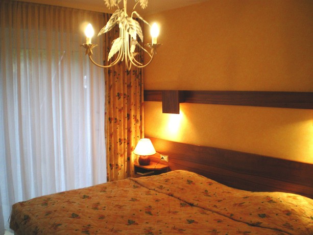 Imagen de la habitación del Hotel Des Vosges, La Petite Pierre. Foto 10