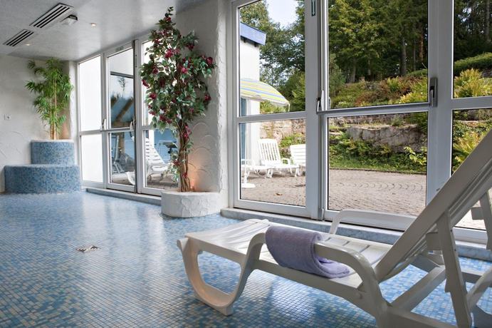 Imagen de la piscina del Hotel Des Vosges, La Petite Pierre. Foto 20