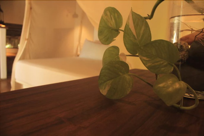Imagen de la habitación del Hotel Descalzo. Foto 16