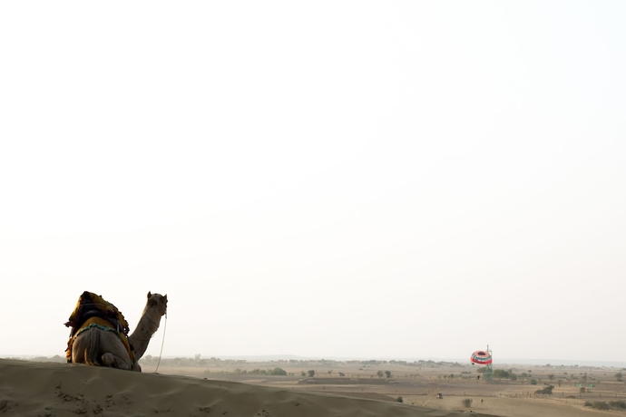 Imagen general del Hotel Desert Adventure Camp Jaisalmer. Foto 2