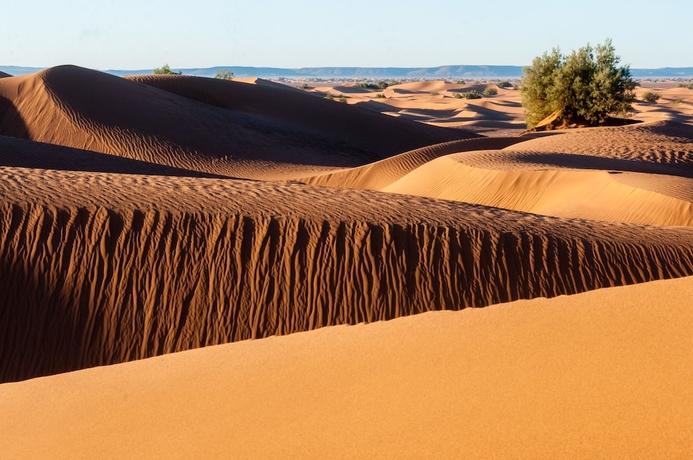 Imagen general del Hotel Desert Bivouac. Foto 1
