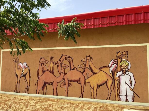 Imagen general del Hotel Desert Glamping. Foto 10