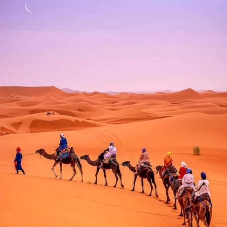 Imagen general del Hotel Desert Heart Luxury Camp. Foto 2