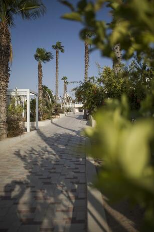 Imagen general del Hotel Desert Iris. Foto 11