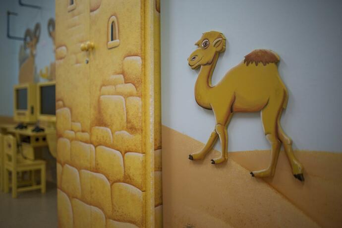 Imagen general del Hotel Desert Iris. Foto 29