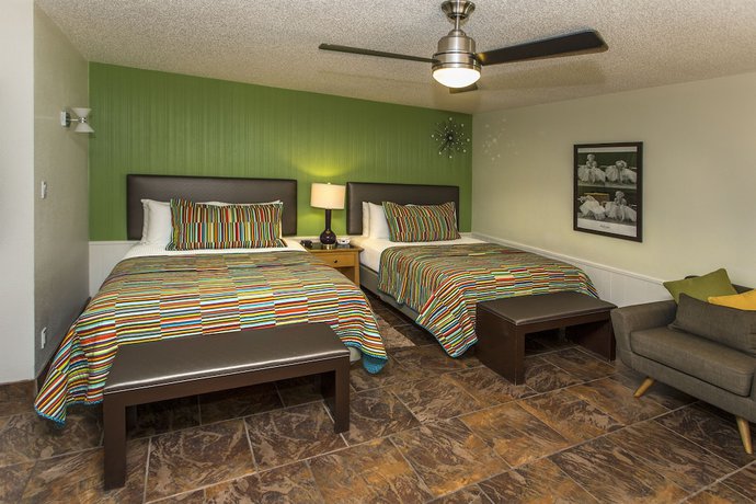 Imagen de la habitación del Hotel Desert Riviera. Foto 12
