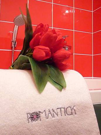 Imagen de la habitación del Hotel Design Romantick. Foto 11