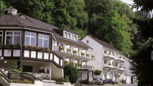 Imagen de la habitación del Hotel Design Sauerland. Foto 9